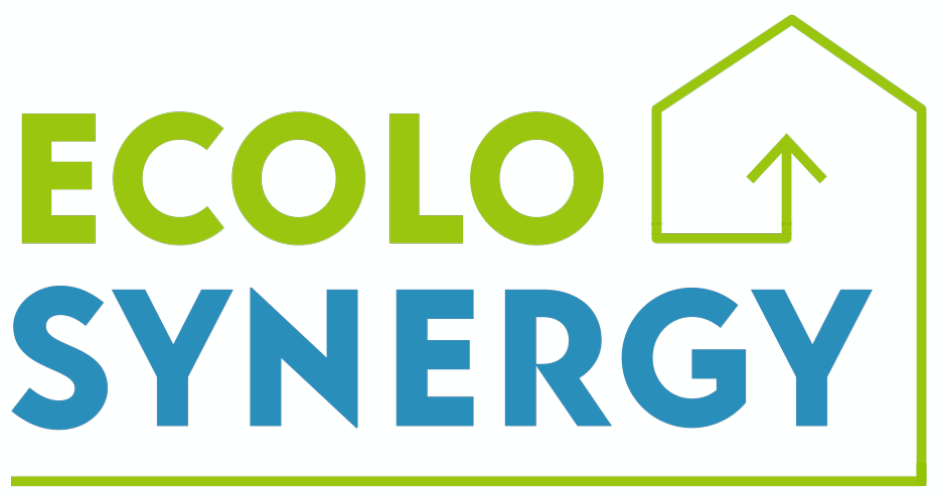 Ecolo Synergy logo